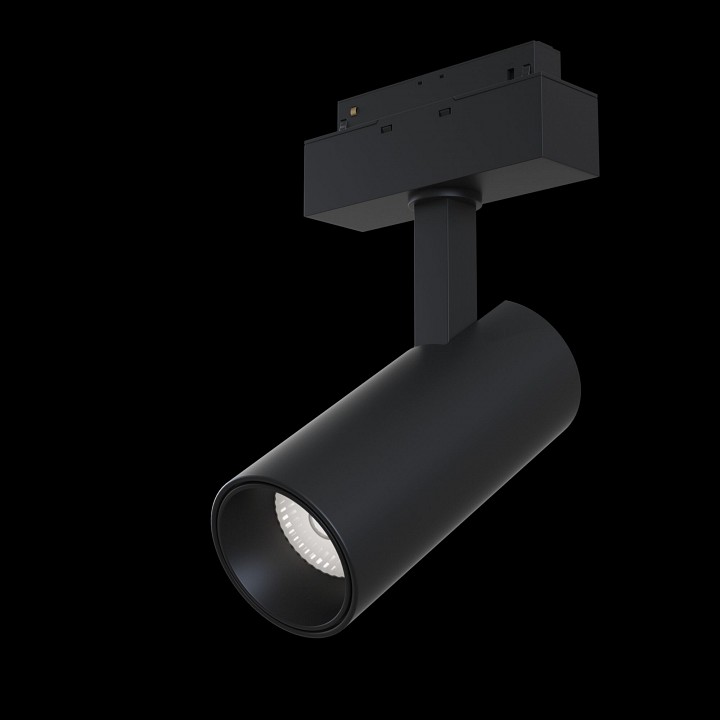 Светильник на штанге Maytoni Technical Focus LED TR019-2-15W4K-B