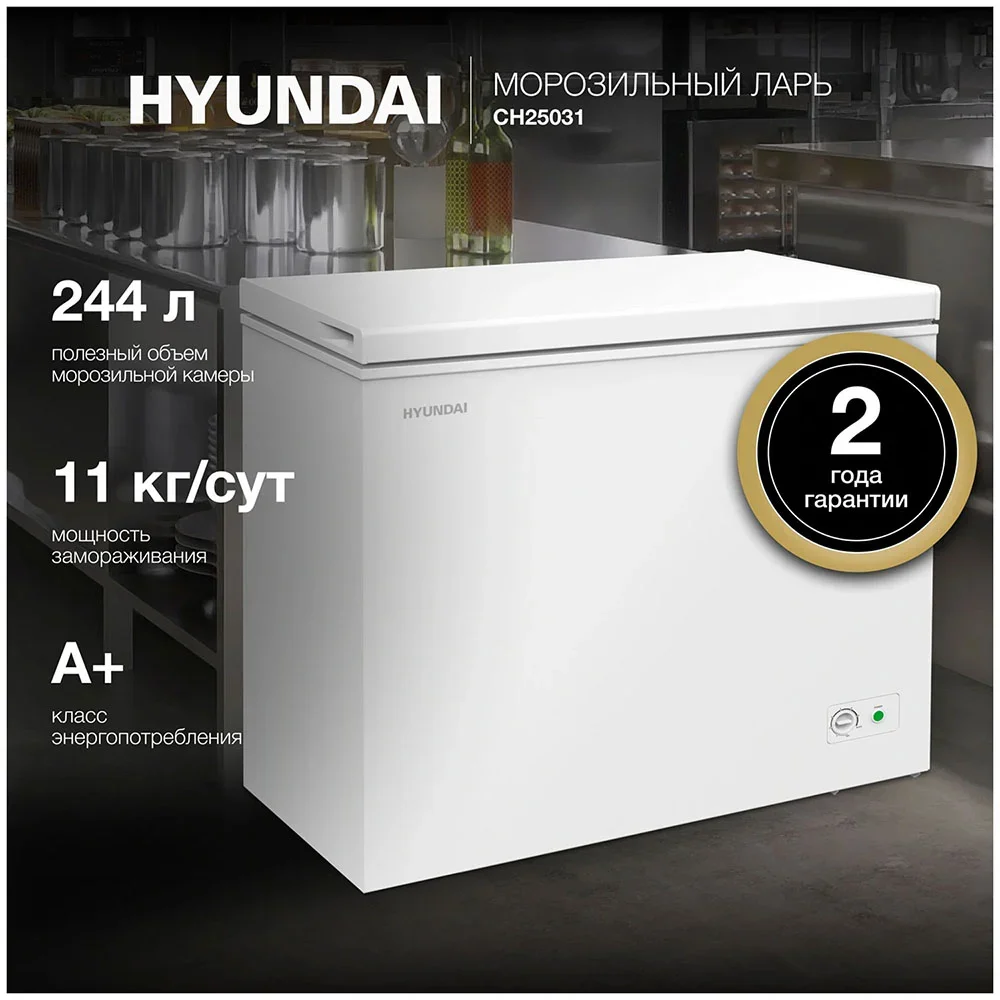 Морозильный ларь Hyundai CH25031