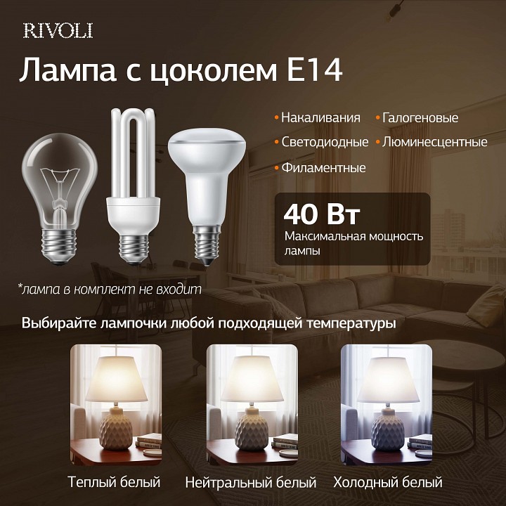 Настольная лампа декоративная Rivoli Muriel 7550-502
