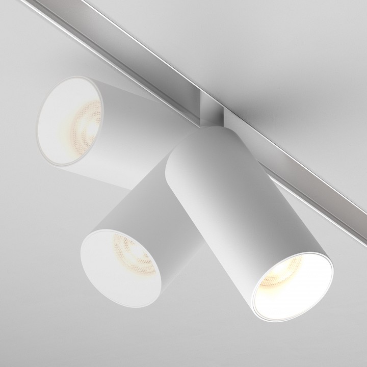 Светильник на штанге Maytoni Technical Focus LED TR032-2-5W4K-S-W