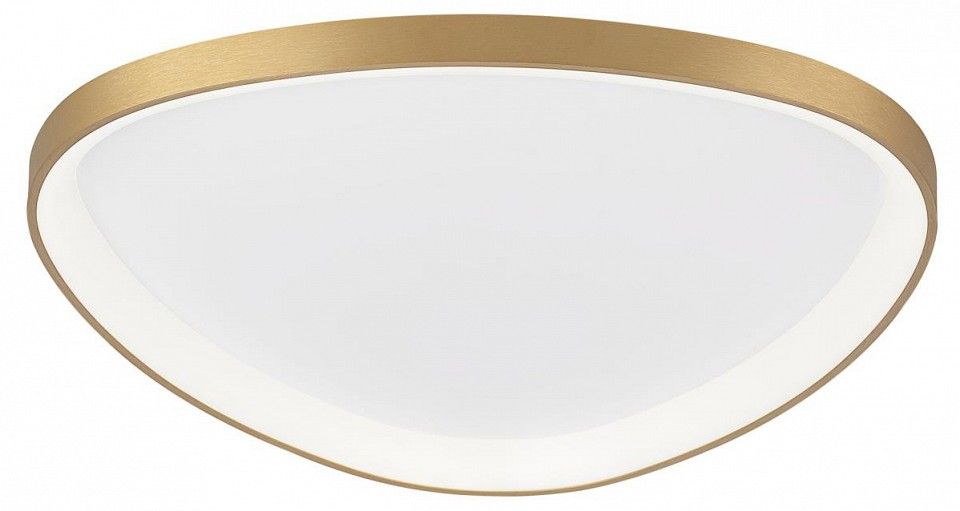 Накладной светильник Citilux GENKA SMART CL756A162