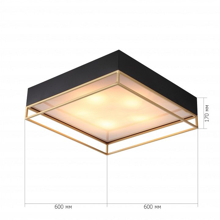 Накладной светильник ST-Luce Chodo SL1127.422.05