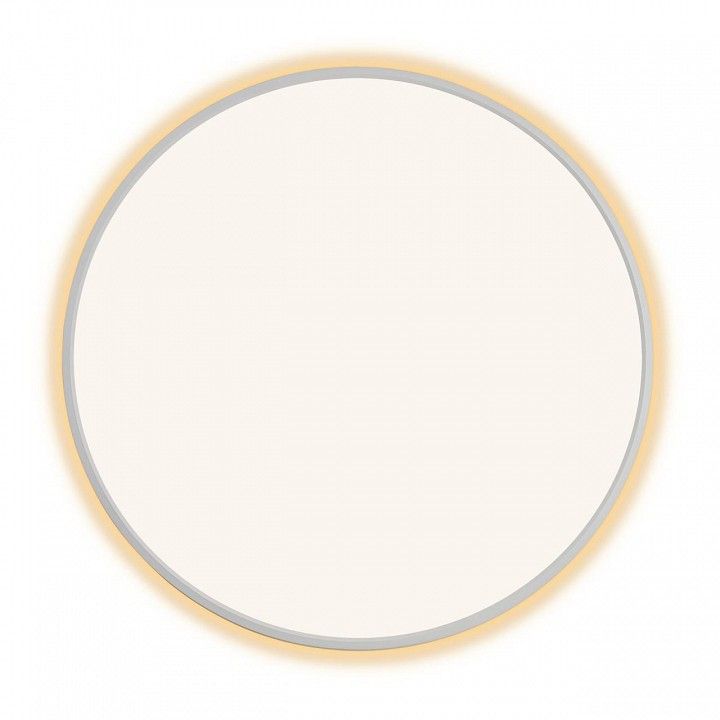 Накладной светильник Citilux Norma CL748600