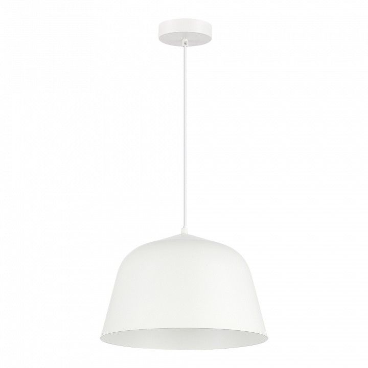Подвесной светильник EVOLUCE Blank SLE1805-503-01