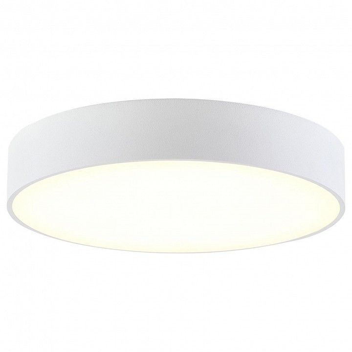Накладной светильник Citilux Тао CL712240N