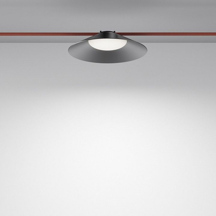 Подвесной светильник Maytoni Technical Кампана TR127B-12W4K-B