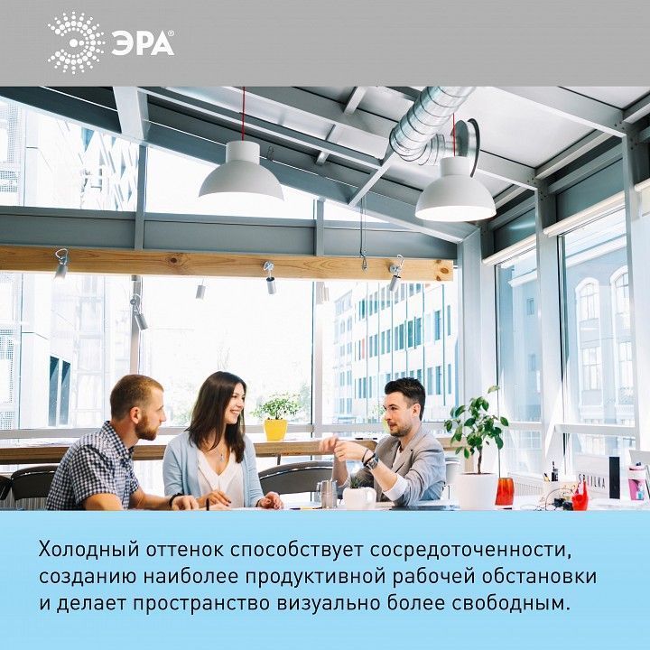 Лампа светодиодная Эра  GU5.3 8Вт 6000K LED MR16-8W-12V-860-GU5.3