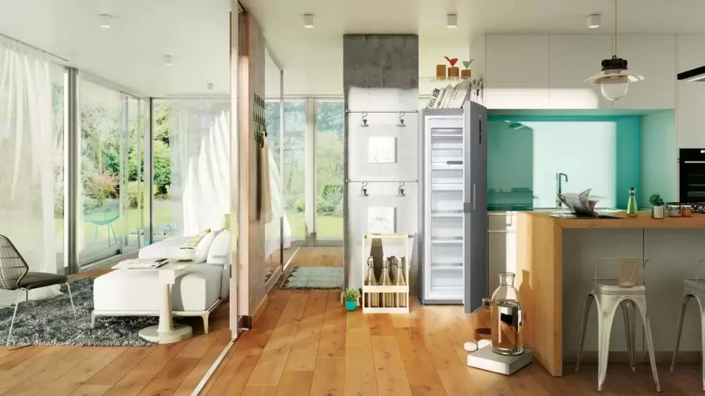 Морозильный шкаф Gorenje FN6192PX