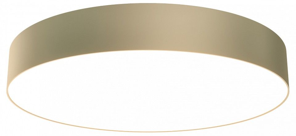 Накладной светильник Maytoni Technical Зон C032CL-45W3K-RD-MG