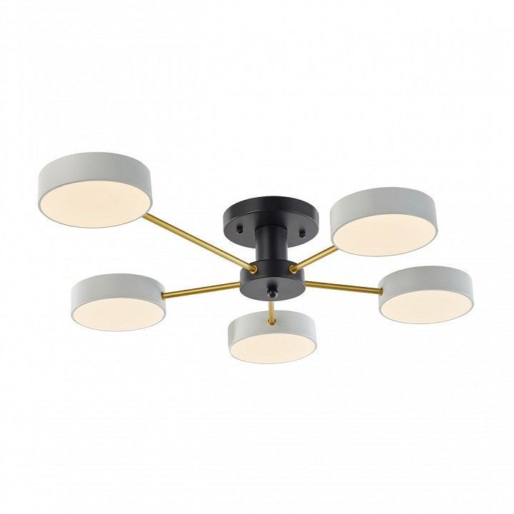 Потолочная люстра Arte Milano Ferrara 252006/5 Bk/Wh