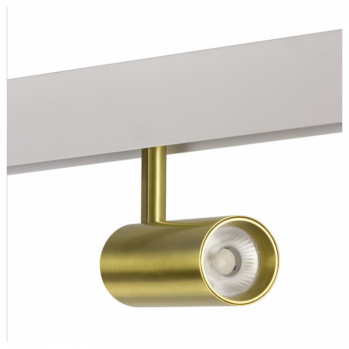 Светильник на штанге AM-Group CYLINDER MAGNET AM429 CX-B11-10W -3000K Copper