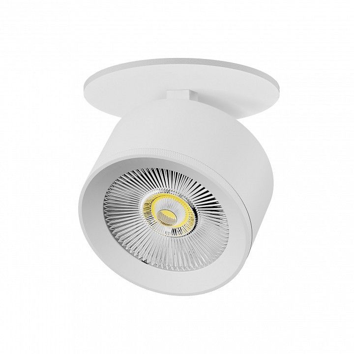 Спот Lightstar Alta Pro A5546RS
