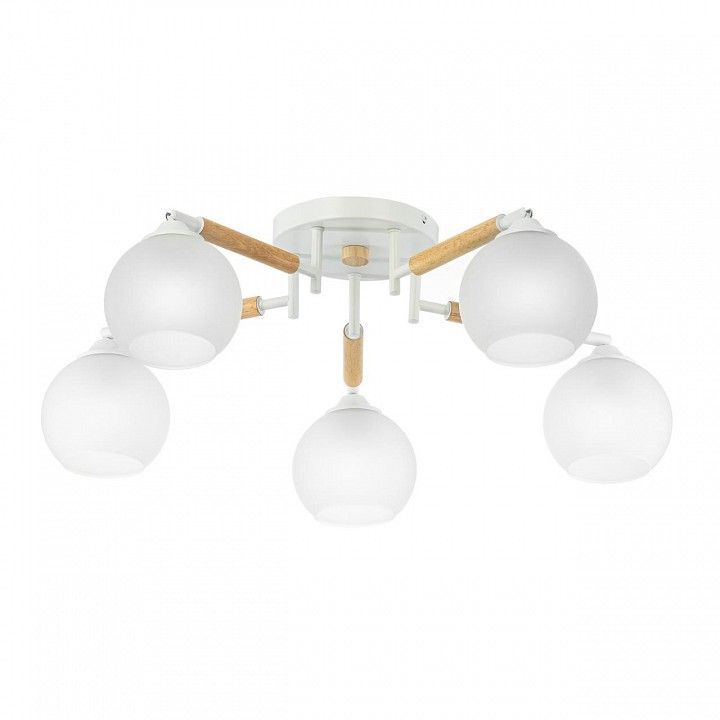 Потолочная люстра Citilux Tika CL133150