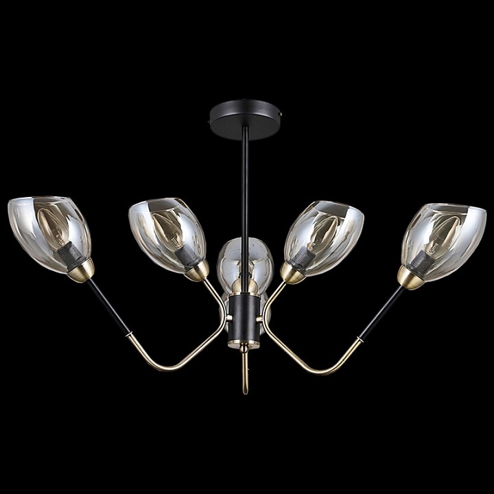 Люстра на штанге ILLUMICO  IL9960-6CSQ-79 BK AB