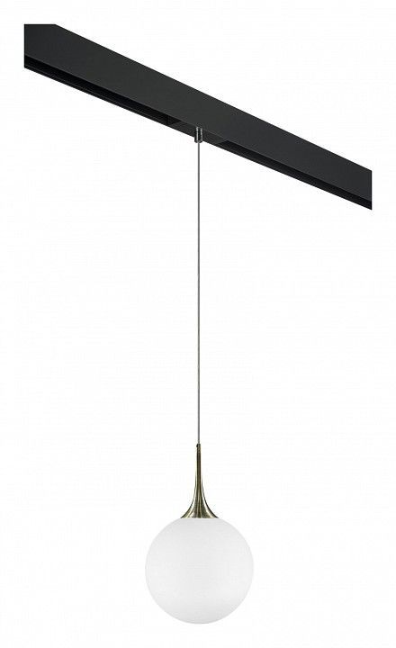 Подвесной светильник Lightstar Globo PRO813031