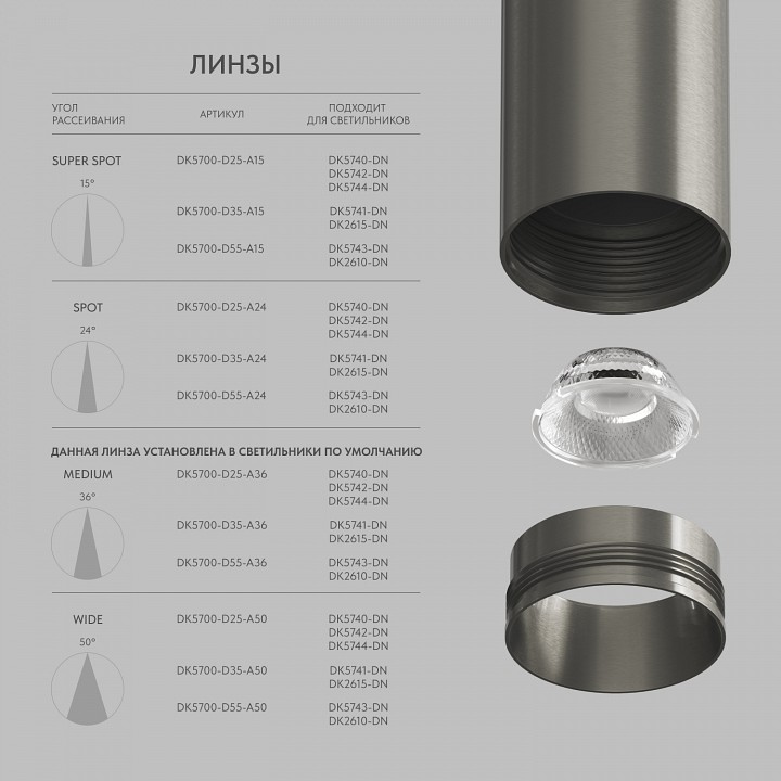 Светильник на штанге Denkirs SHINE SPOT DK5742-DN