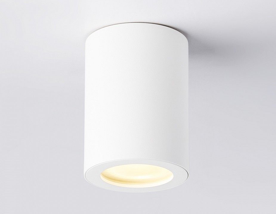 Накладной светильник Ambrella Light TN TN22797