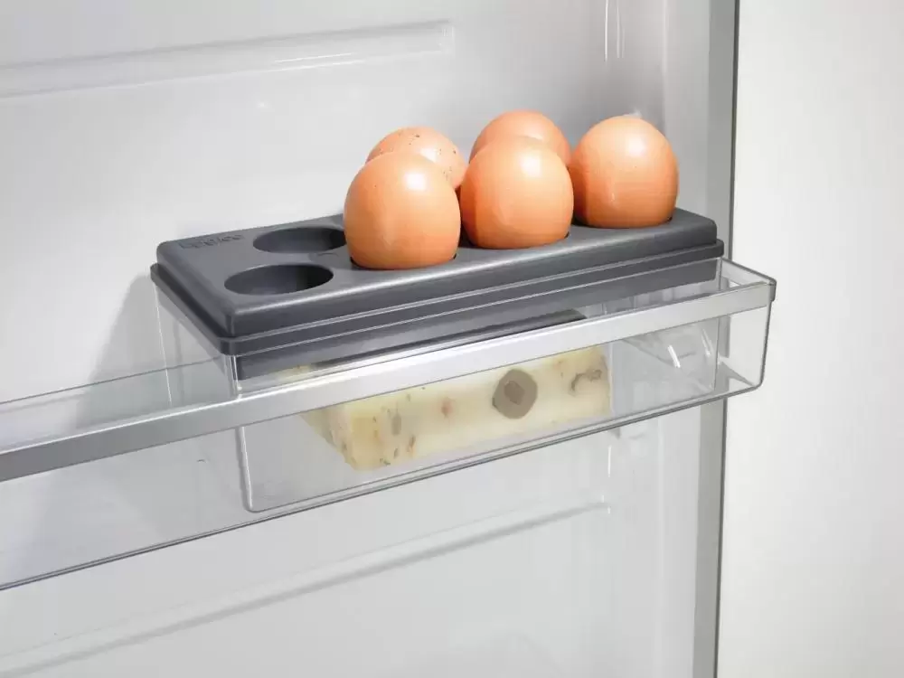 Однокамерный холодильник Gorenje R 6192 LX
