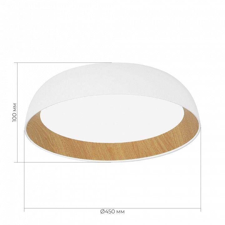 Накладной светильник EVOLUCE MUSE SLE1812-502-01