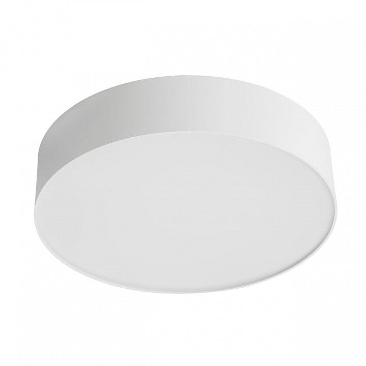 Накладной светильник Citilux BART CL755290