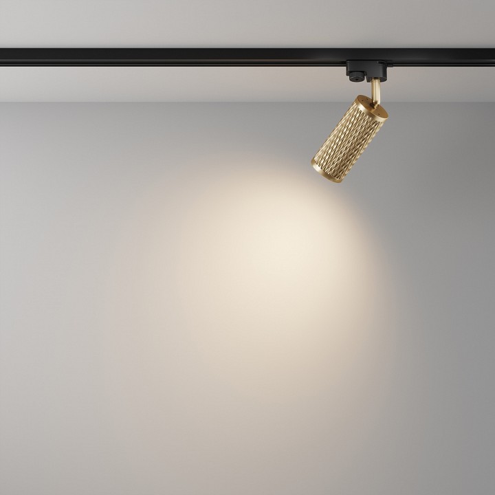 Светильник на штанге Maytoni Technical Focus Design TR011-1-GU10-G
