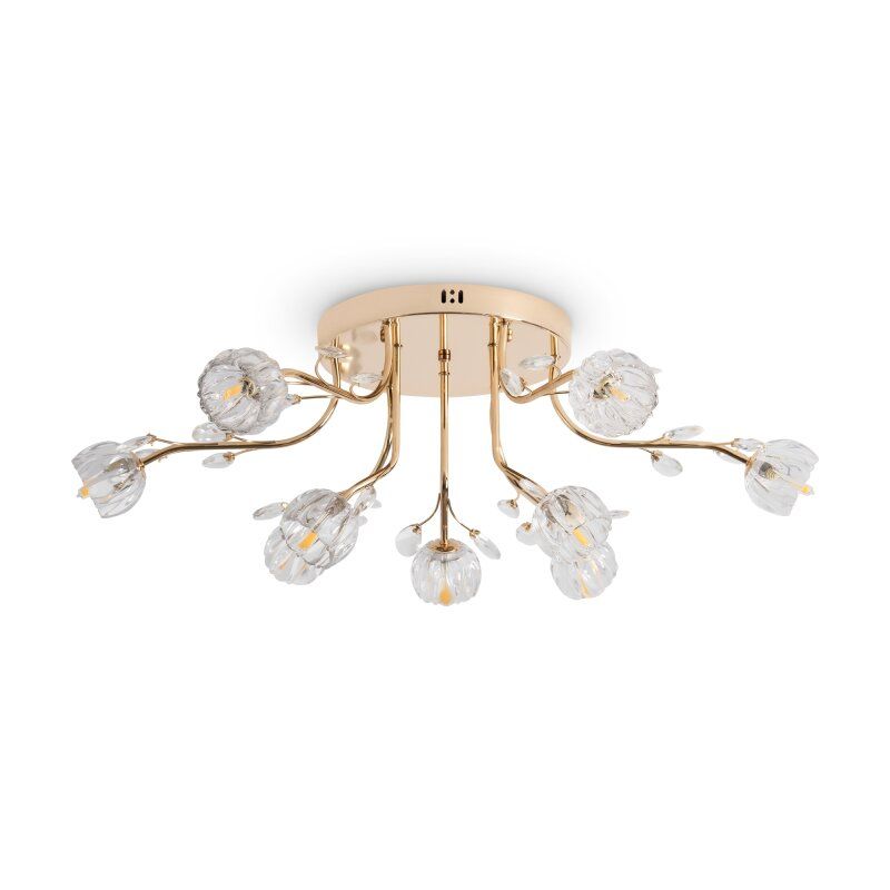 Люстра на штанге Freya Fioress FR5571CL-09G