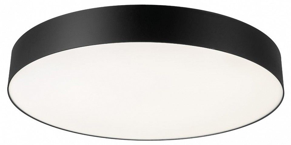 Накладной светильник Citilux BART CL755491