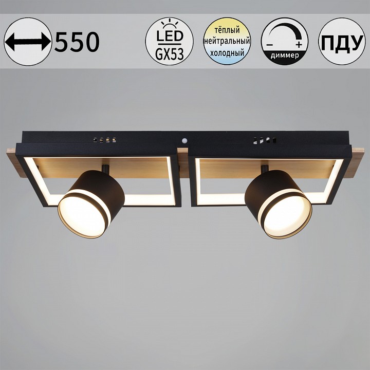 Накладной светильник Reluce 19560 19560-0.3-2+2 BK+WOOD
