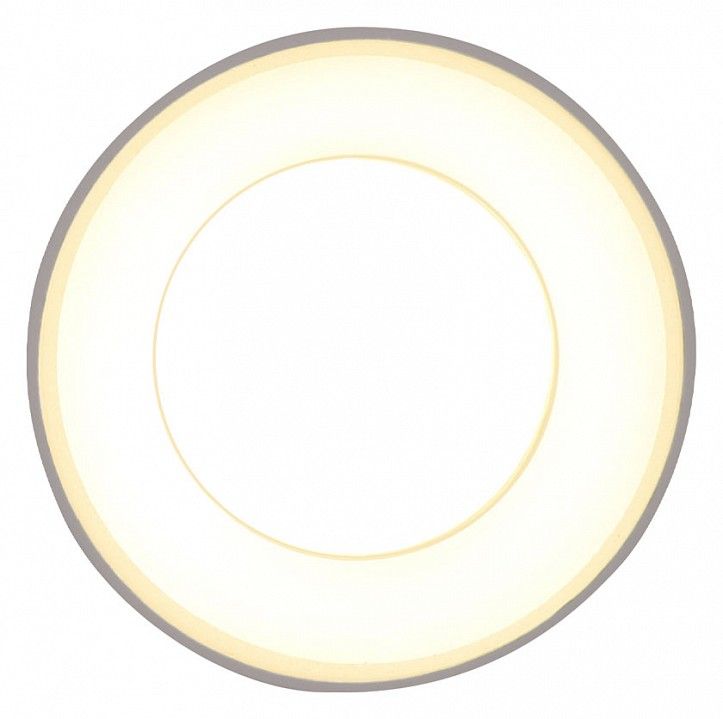 Накладной светильник Ambrella Light TN TN3411