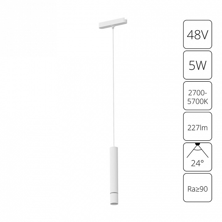 Подвесной светильник Arte Lamp Rapid A2959PL-1WH