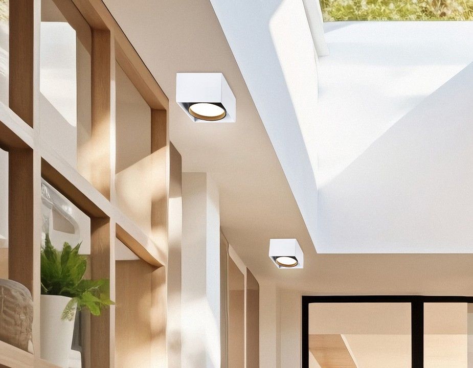 Накладной светильник Ambrella Light TN TN70865