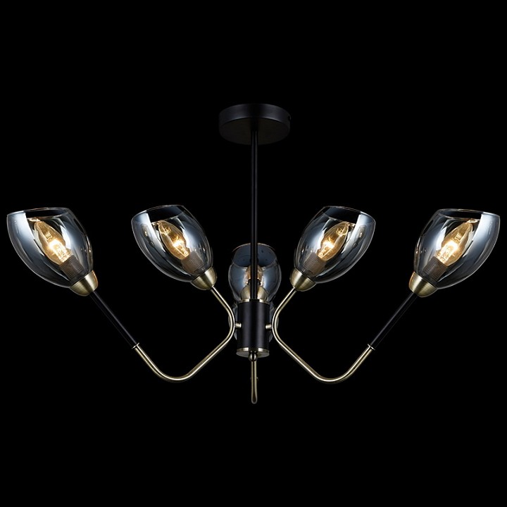 Люстра на штанге ILLUMICO  IL9960-6CSQ-79 BK AB