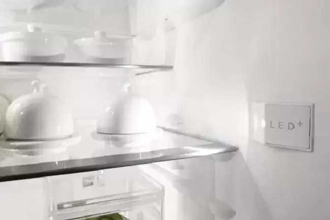 Двухкамерный холодильник Gorenje Plus GDC 66178 FN