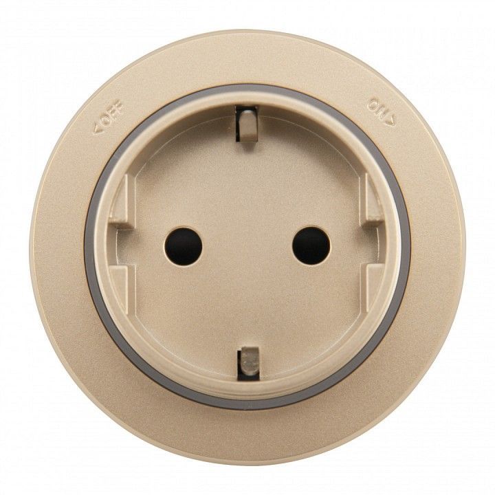 Розетка с заземлением на треке Arte Milano Am-track-sockets-39 397951TS/ES Gold