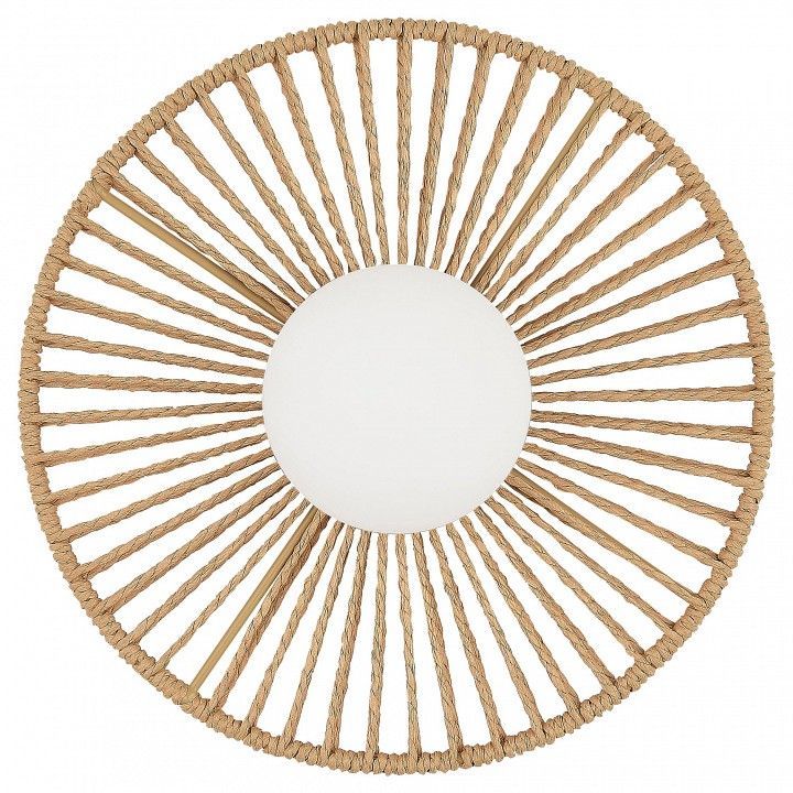 Накладной светильник EVOLUCE LOOM SLE6022-601-01
