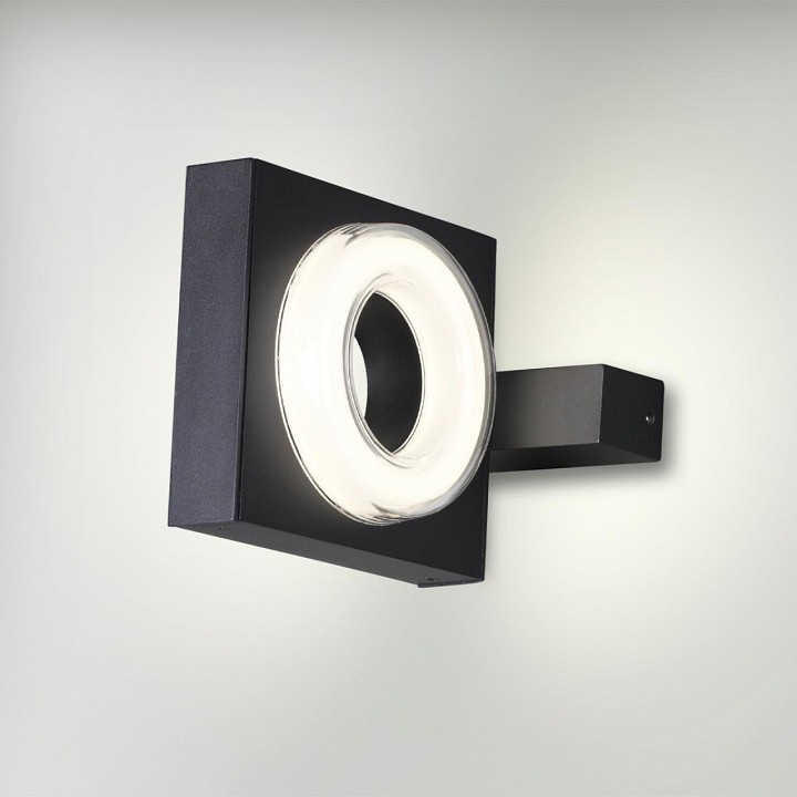 Накладной светильник Odeon Light NATURE 6654/6WL