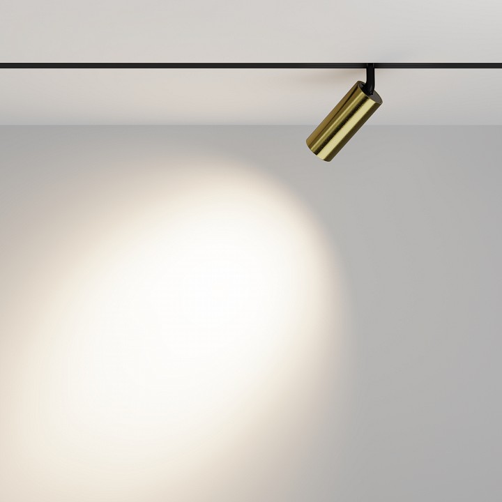 Светильник на штанге Maytoni Technical Focus LED TR032-2-12W4K-M-BBS