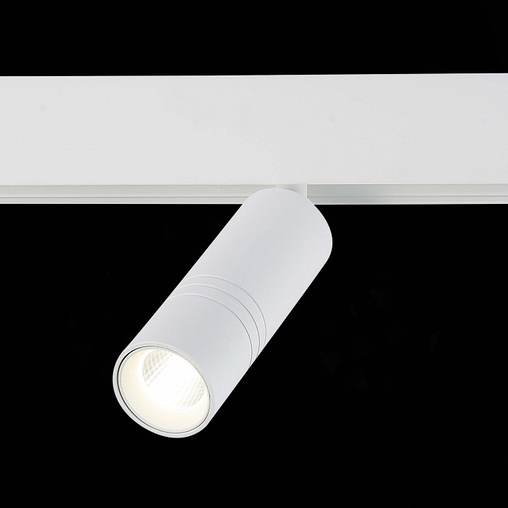 Светильник на штанге ST-Luce Lemmi ST365.546.12