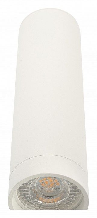 Накладной светильник Denkirs DK2000 DK2052-WH