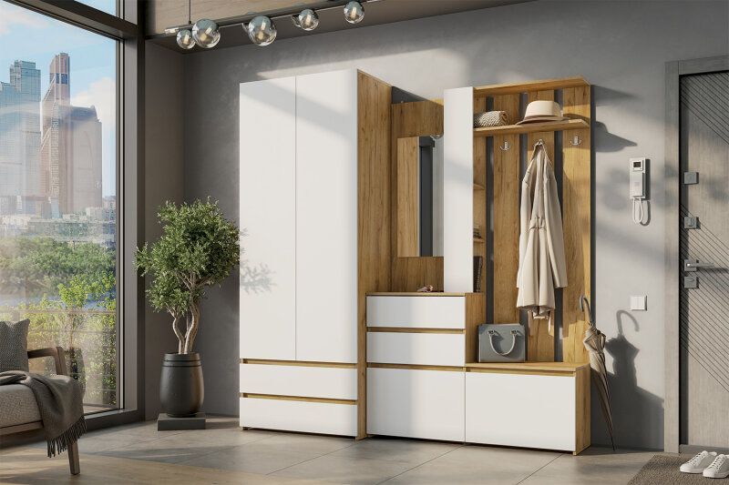 Шкаф платяной Некст 1