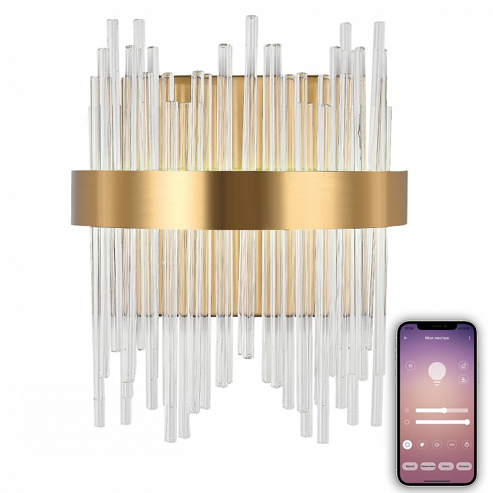 Накладной светильник Natali Kovaltseva LED LAMPS 81118 LED LAMPS 81118/1W