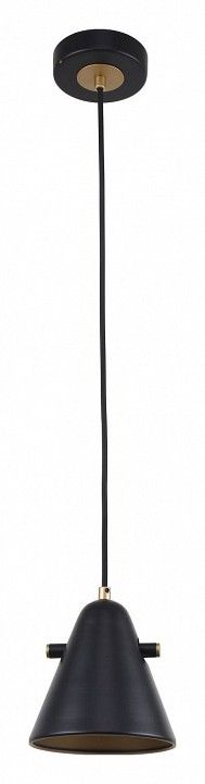 Подвесной светильник F-promo Rigor 2844-1P