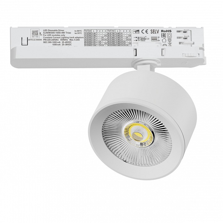 Светильник на штанге Lightstar Alta Pro A5546TRIAC