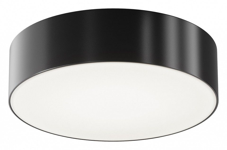 Накладной светильник Maytoni Outdoor Зон ИП/IP O431CL-L30B4K