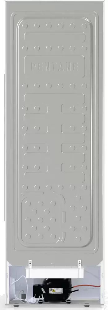 Отдельностоящий двухкамерный холодильник Gorenje RK6191EW4