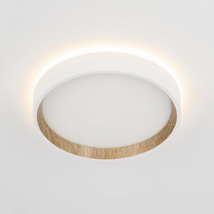 Накладной светильник Citilux Etalon CL750180