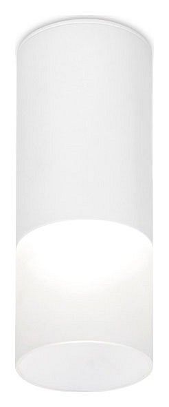 Накладной светильник Ambrella Light TN TN230