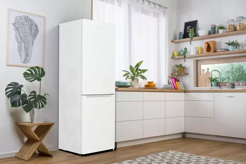 Отдельностоящий двухкамерный холодильник Gorenje RK6191EW4