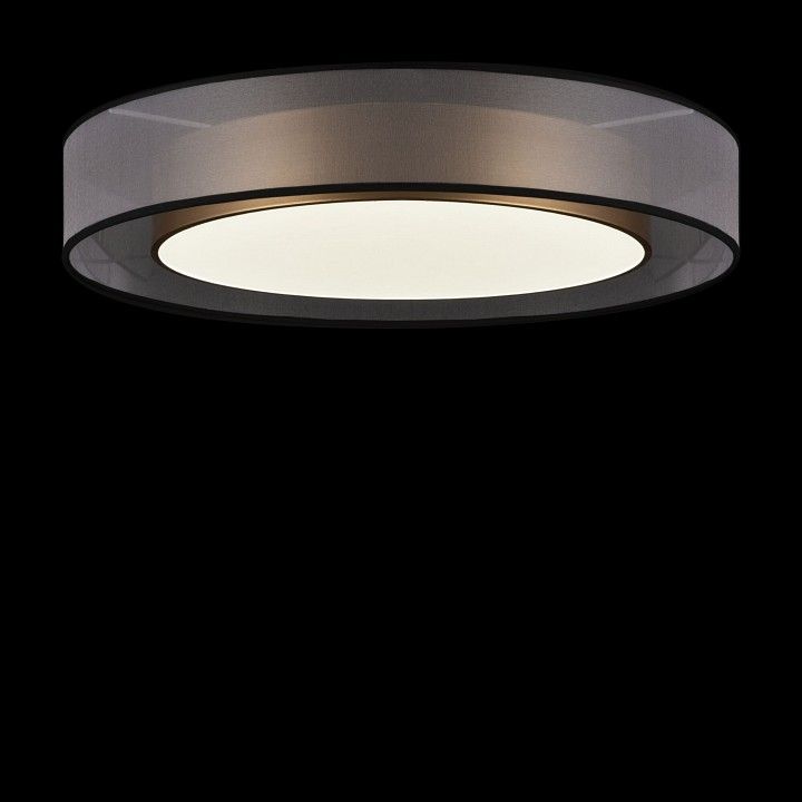 Накладной светильник Freya Зотикус FR6005CL-L48G