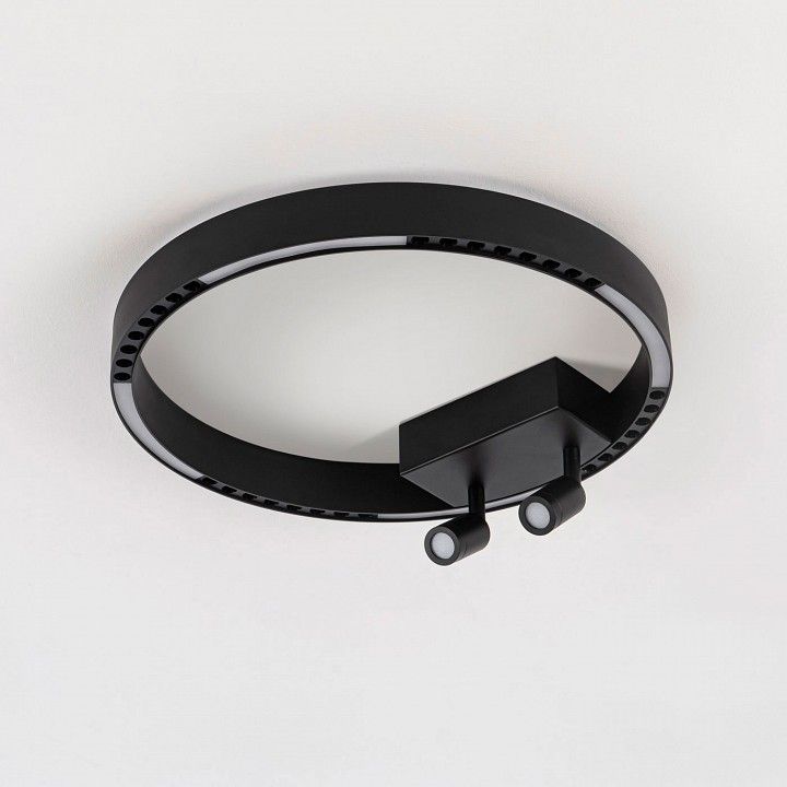 Накладной светильник Ambrella Light FL FL5806